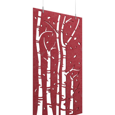 Fixation de l'ancre de ciel